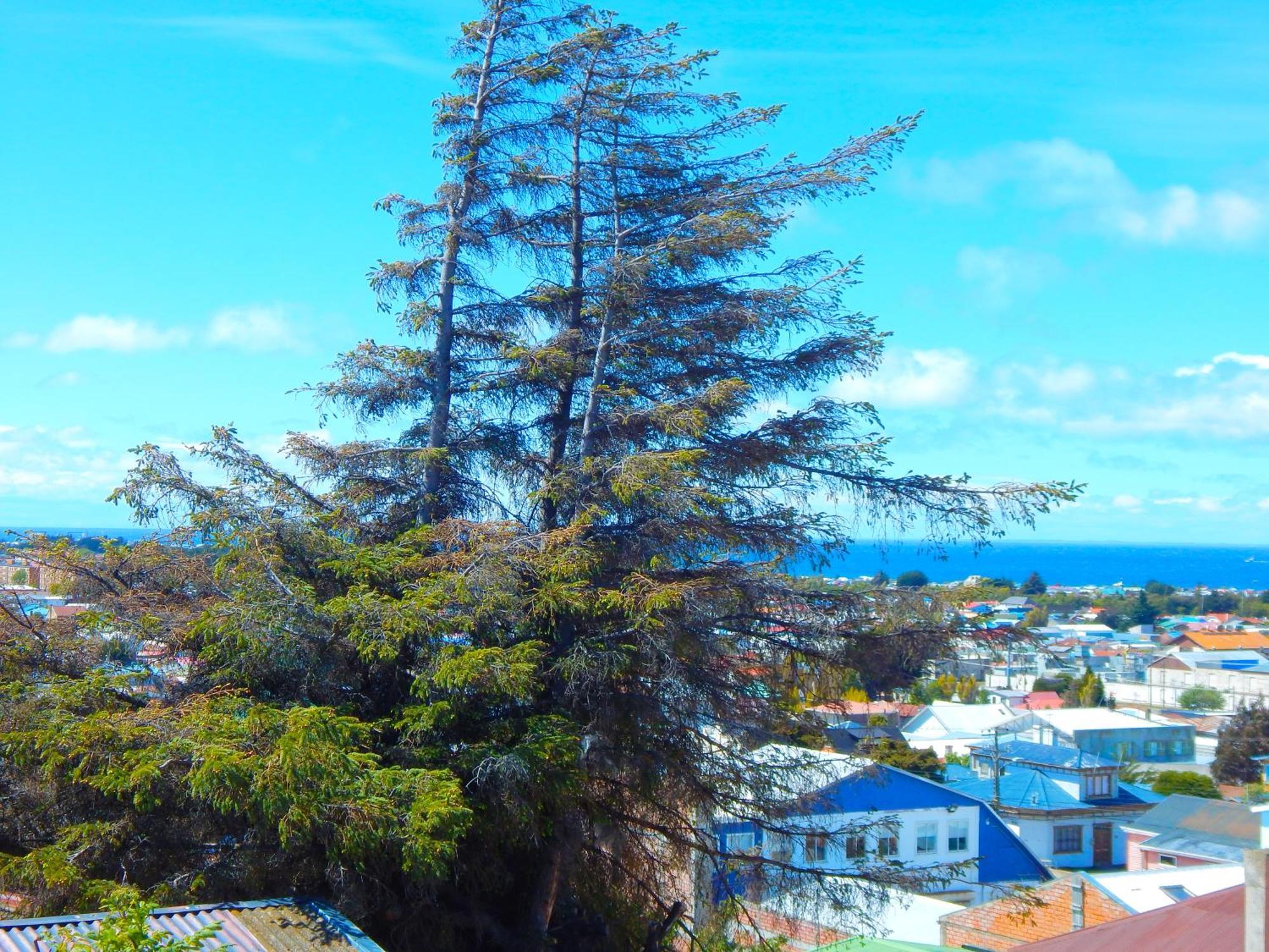 Hostal Buenavista Patagonia Punta Arenas Extérieur photo